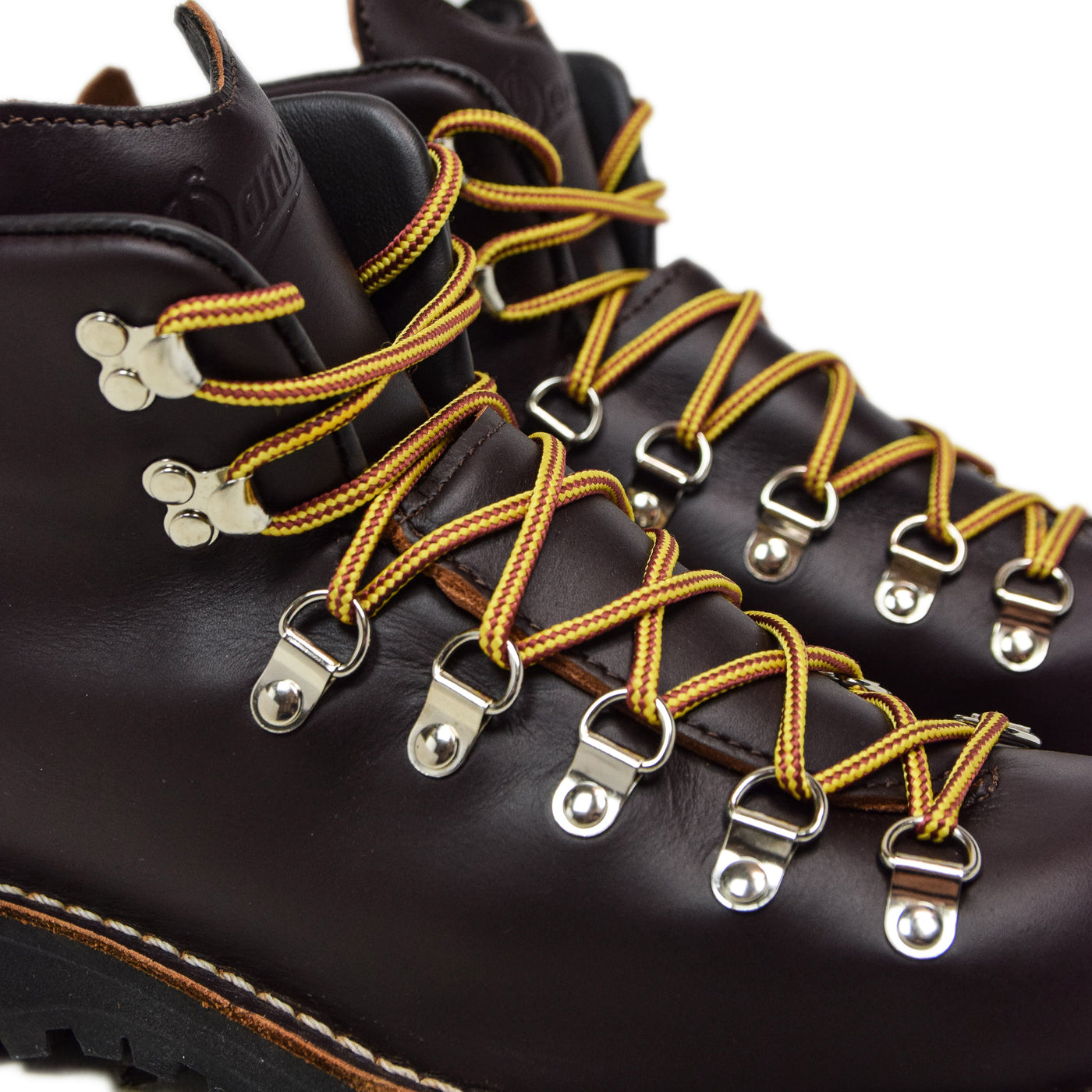 Danner Mountain Light Gore-Tex Leather Boot Brown Laces
